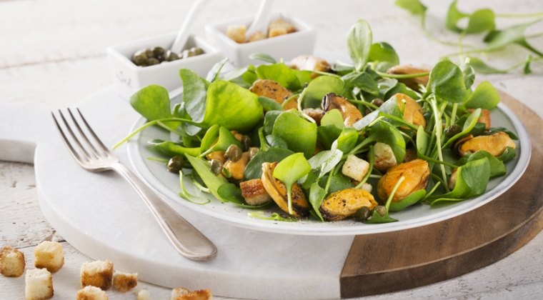 Mussels